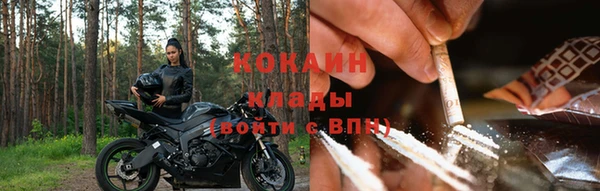 бошки Алзамай